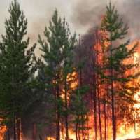 Памятка по предупреждению лесных пожаров