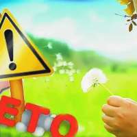 Памятка для родителей по безопасности детей на водных объектах в летний период. 