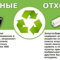 Куда сдавать батарейки и энергосберегающие лампы?