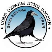 "Птица 2025 года - грач"