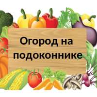Смотр-конкурс "Огород на подоконнике"