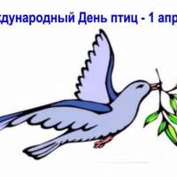 Международный день птиц