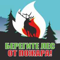 Бережное отношение к природе. Защита лесов от пожара